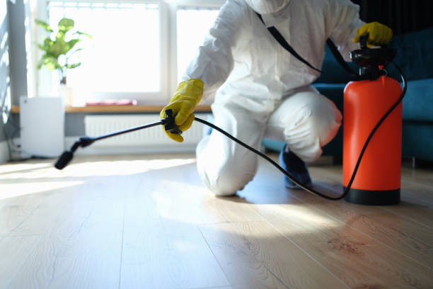 Reliable Odor Removal contractor in Morehead City, NC by Trauma Clean Pros